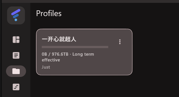 Profiles 页面出现配置卡片